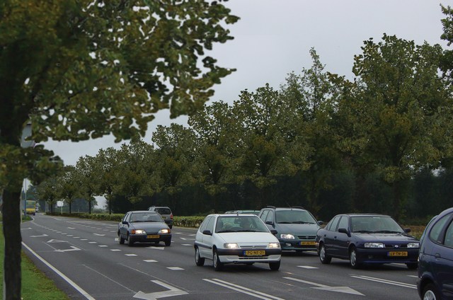 mini-25 jaarnaaanplant.jpg